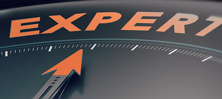 Une expertise industrielle Une expertise industrielle