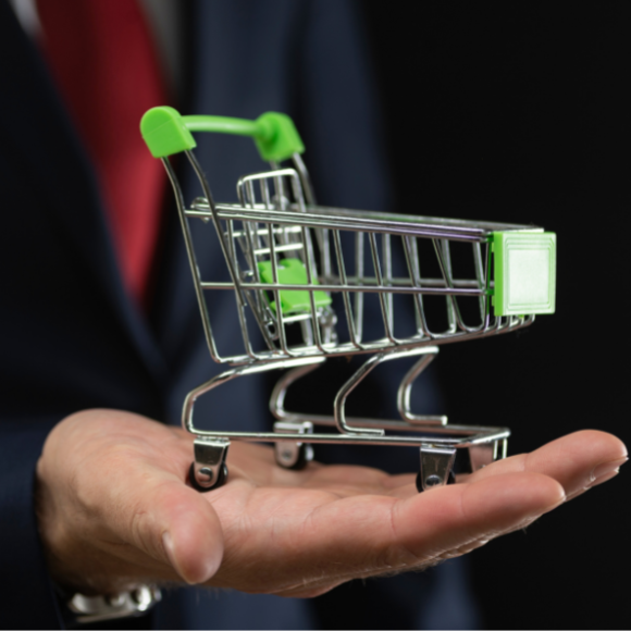 secteur biens de consommation